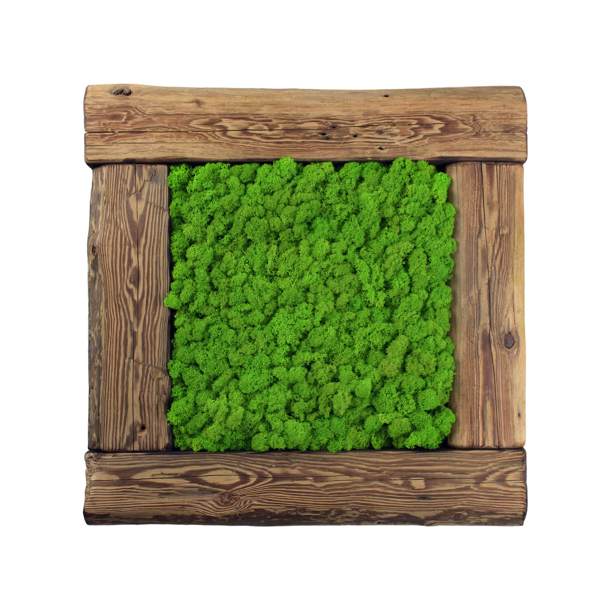 DEKORATIVE MOOSBILDER L ALTES HOLZ - EAGLE DESIGN